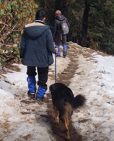 Following doggo protecting me